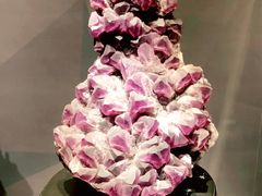 -湖南省地质博物馆