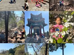 -府君山公园