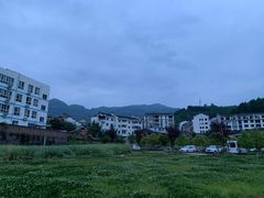 -后柳水乡