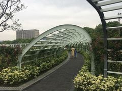 -紫荆广场·花漫里