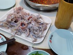 -蜀今朝美蛙鱼头火锅(筠连店)