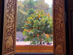 -西双版纳勐泐文化旅游区