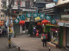景点-猫咪博物馆(顶澳仔猫街店)