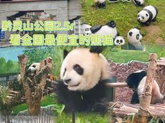 -黔灵山公园