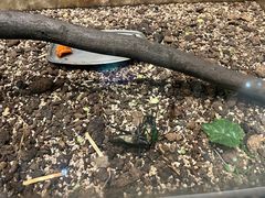 -上海昆虫博物馆