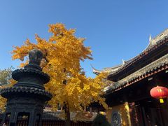 -龙华素斋(龙华路店)