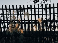 -福道