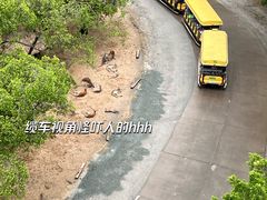 -广州长隆野生动物世界