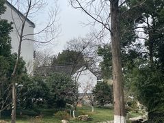 -树山生态村