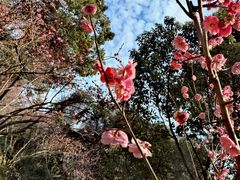 -宁波市保国寺古建筑博物馆