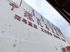 -中环花鸟鱼虫市场