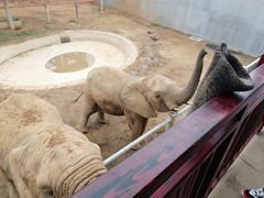 -西霞口神雕山野生动物世界