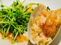 -CHIC1699远洋私厨