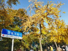-八大关景区