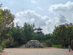 -南大港湿地风景区