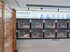 -翊宠yipet猫狗购宠庄园犬舍•猫舍