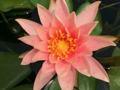 android_upload_pic-景山公园