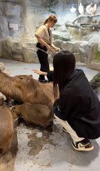 -Zoolung Zoolung动物主题公园(海信广场店)