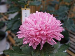 -共青国家森林公园-售票处