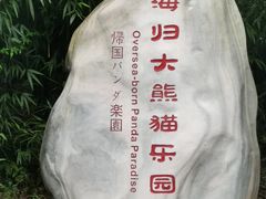 -中国大熊猫保护研究中心雅安碧峰峡基地