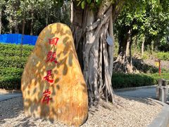 -南国桃园旅游度假区