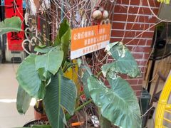 -鱼乐岛餐厅·户外花园主题餐厅