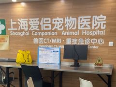 -爱侣宠医·鹦鹉专科·小型哺乳类·异宠专科(灵石路店)