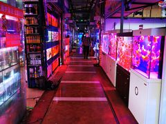 -朝来春花卉市场-东停车场