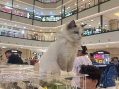 -梅龙镇广场