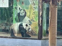 -南昌动物园