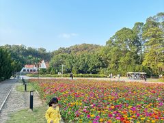 -南沙蒲洲花园