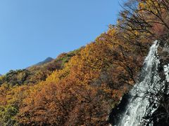 -龙道沟景区