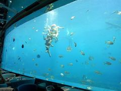 -瑞德姆美人鱼海底演艺主题餐厅(亚龙湾店)