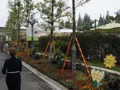 -印象泰和园(望丛西路店)