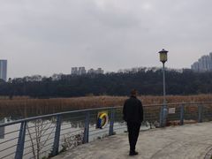 -月湖风景区