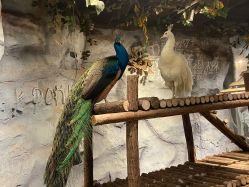 -Zoolung Zoolung动物主题公园(海信广场店)