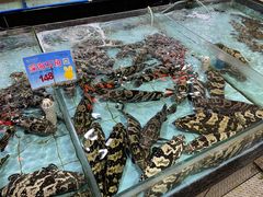 -渔民新村(番禺总店)