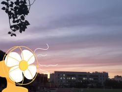 -MOVAN HAIR莫凡匠人发型屋