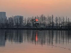 -洋湖国家湿地公园