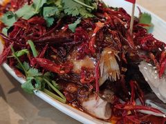 -杨氏青龙虾·羊蝎子(珠江路店)