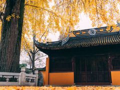 -苏州上方山国家森林公园