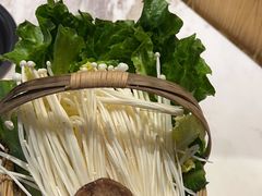 -同仁四季椰子鸡(福田东园总店)