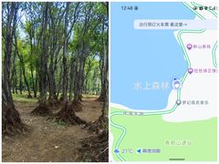 -大理洱海
