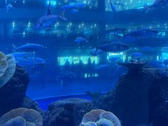 -成都浩海立方海洋公园