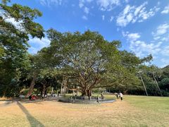 -深圳仙湖植物园
