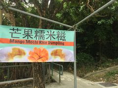 -南丫岛