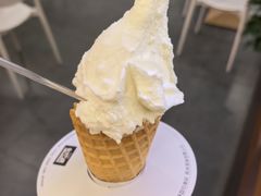 -野人先生Gelato(上海长宁龙之梦店)