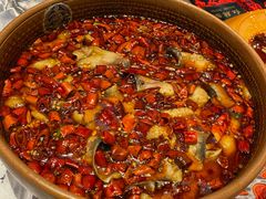 -红辣椒·川菜·火锅(张杨路店)