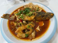-煲来饱去冷水鱼