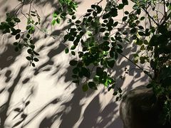 -隐溪茶馆(静安寺店)